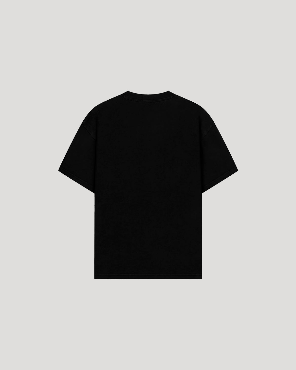 WLV SWITZERLAND T